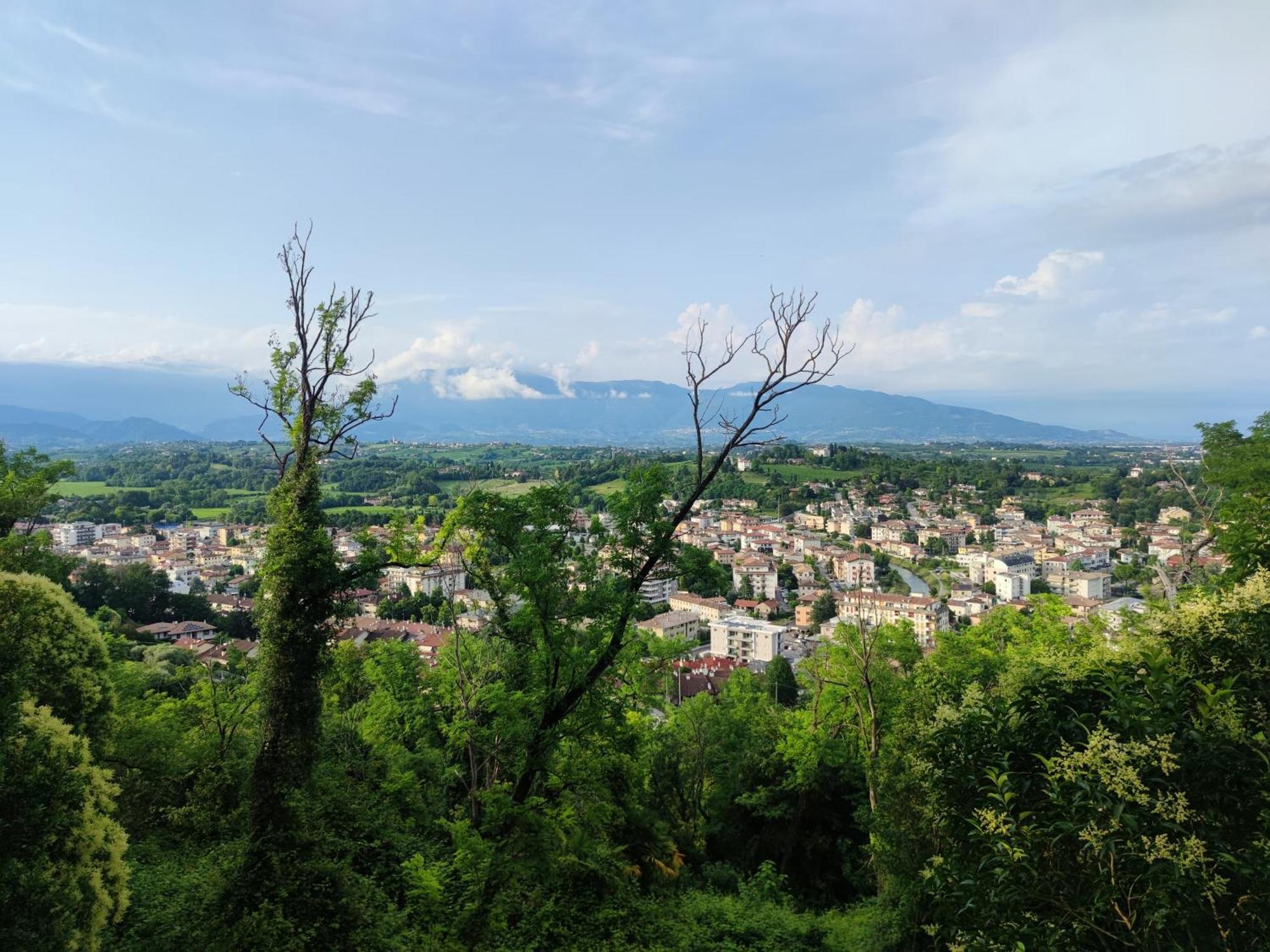 Bbconegliano Bixio Conegliano