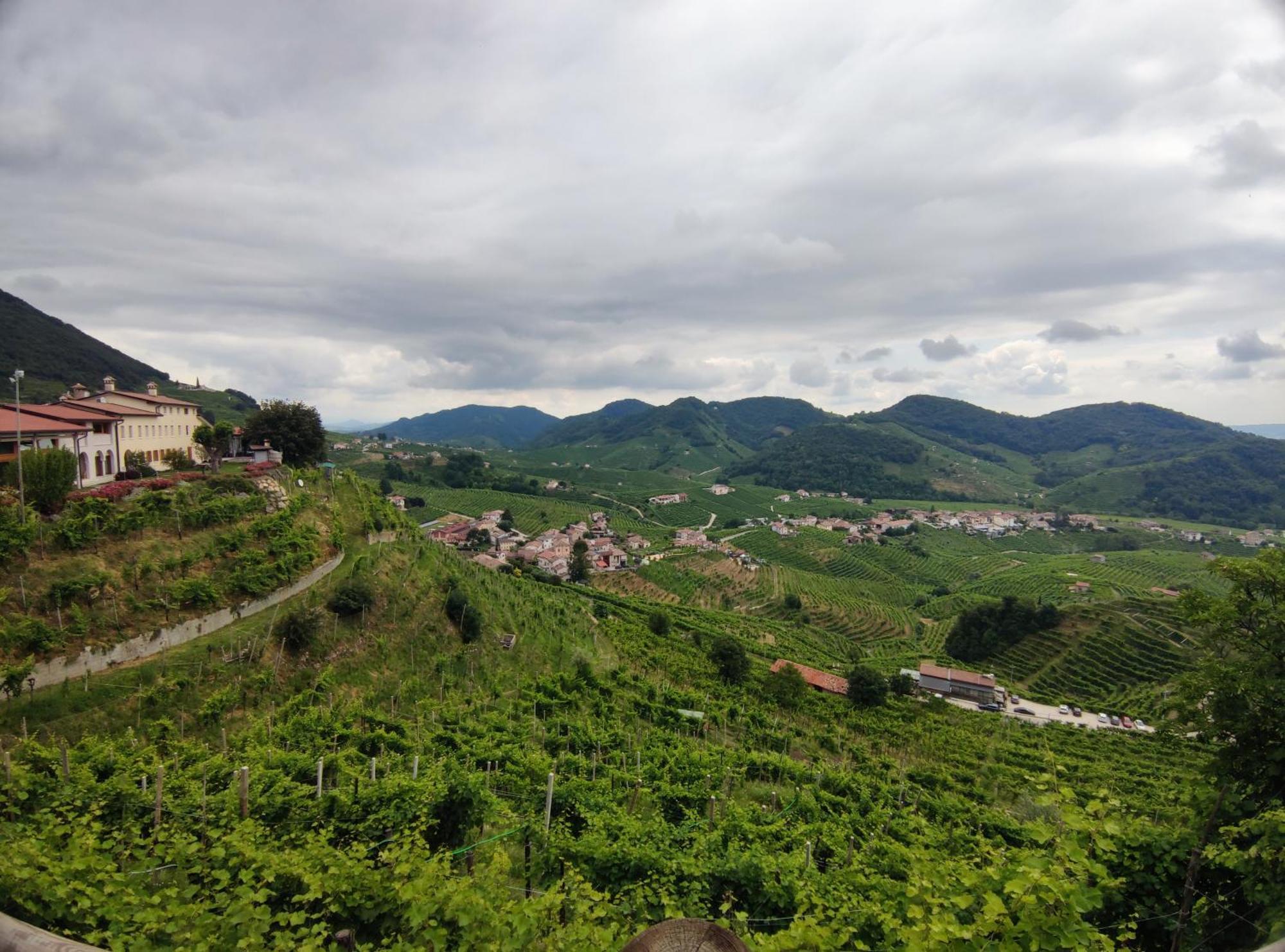 Bbconegliano Bixio *